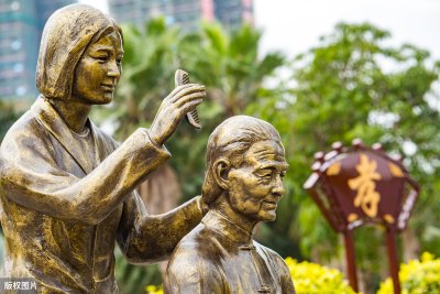 ​忠孝不能两全什么意思（重华大孝武穆精忠什么意思）