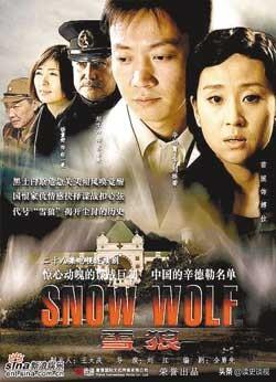 历史上最好看的三部谍战片（五部以狼为名谍战片）(3)