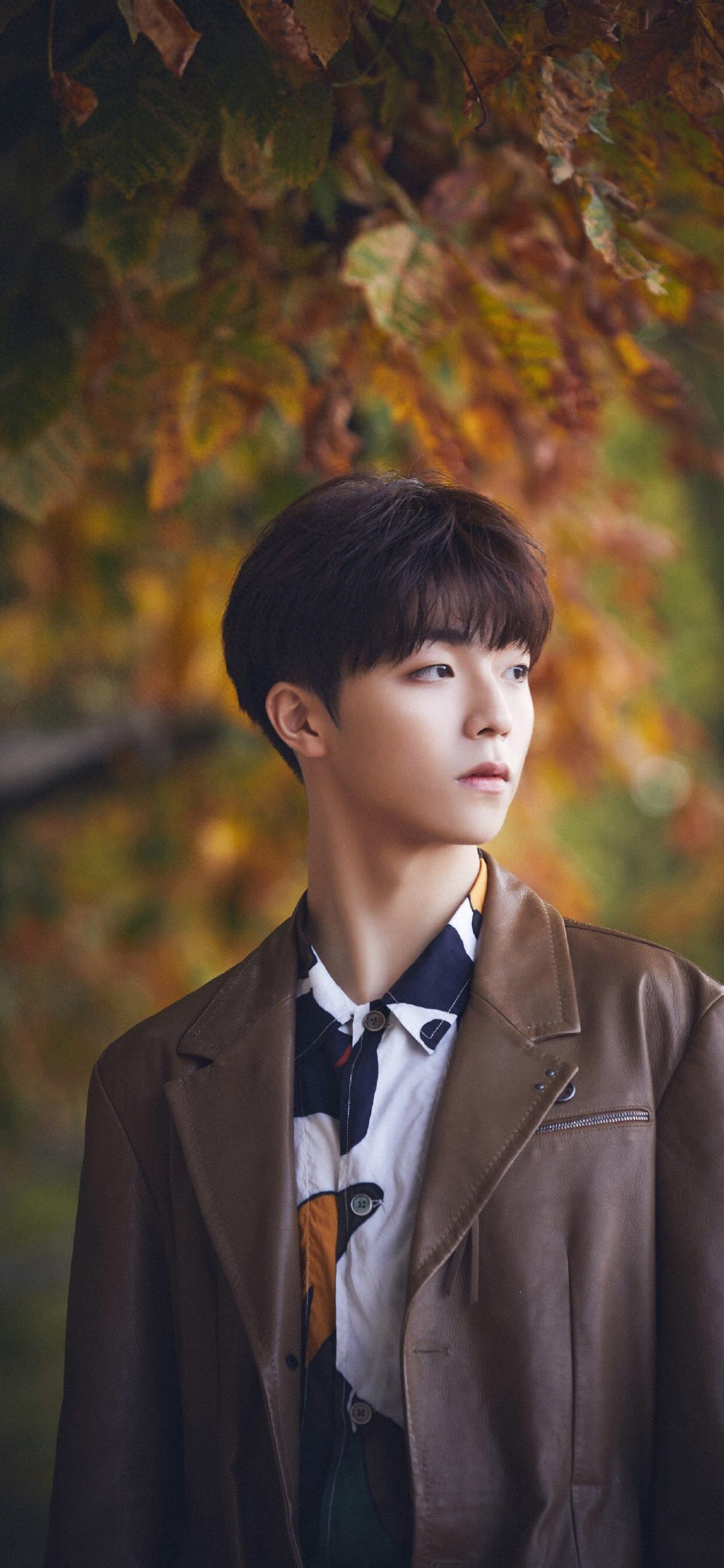 每日无水印壁纸第260期：明星陈立农艺术写真手机壁纸