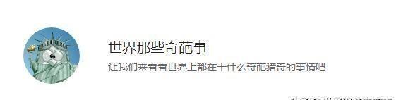 酒店诡异的录像和水箱内藏裸衣女尸！美国诡异