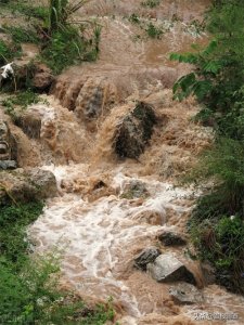 ​吉林省发布山洪灾害气象风险黄色预警及洪涝灾害气象风险黄色预警