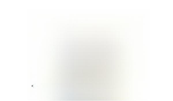 特拉斯新能源汽车是什么牌子-