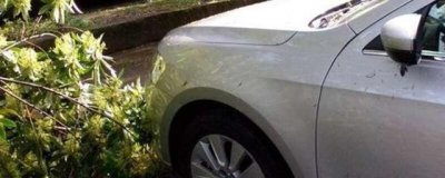 ​新车划痕了,心疼怎么办？树枝划了车划痕能处理吗?