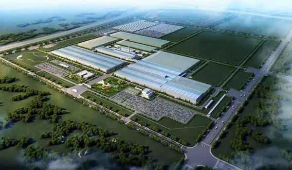 magna是什么牌子-