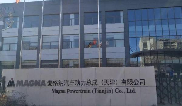 magna是什么牌子-