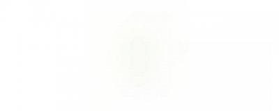 ​莲花汽车标志是什么样的