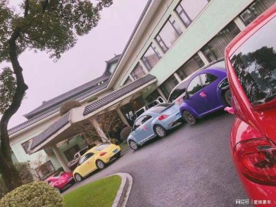 ​结婚婚车选择甲壳虫车队，绝对回头率超高！