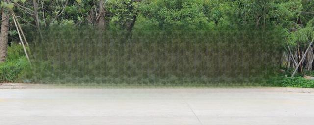 买车贷款需要什么手续资料-