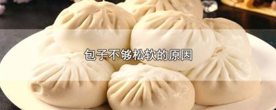 ​包子不够松软的原因