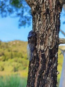 ​8月你好的朋友圈图片大全 八月你好请善待我的说说文案句子