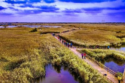 ​东营，这九大景点你都去过哪？