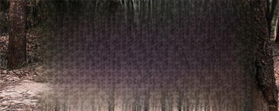 红标思域是什么？-