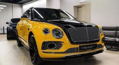 ​自动泊车系统使用方法