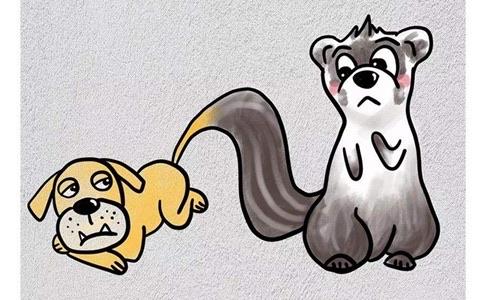 网络图片(侵删)