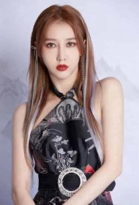 ​弦子（本名张弦子、中国流行乐女歌手、演员）