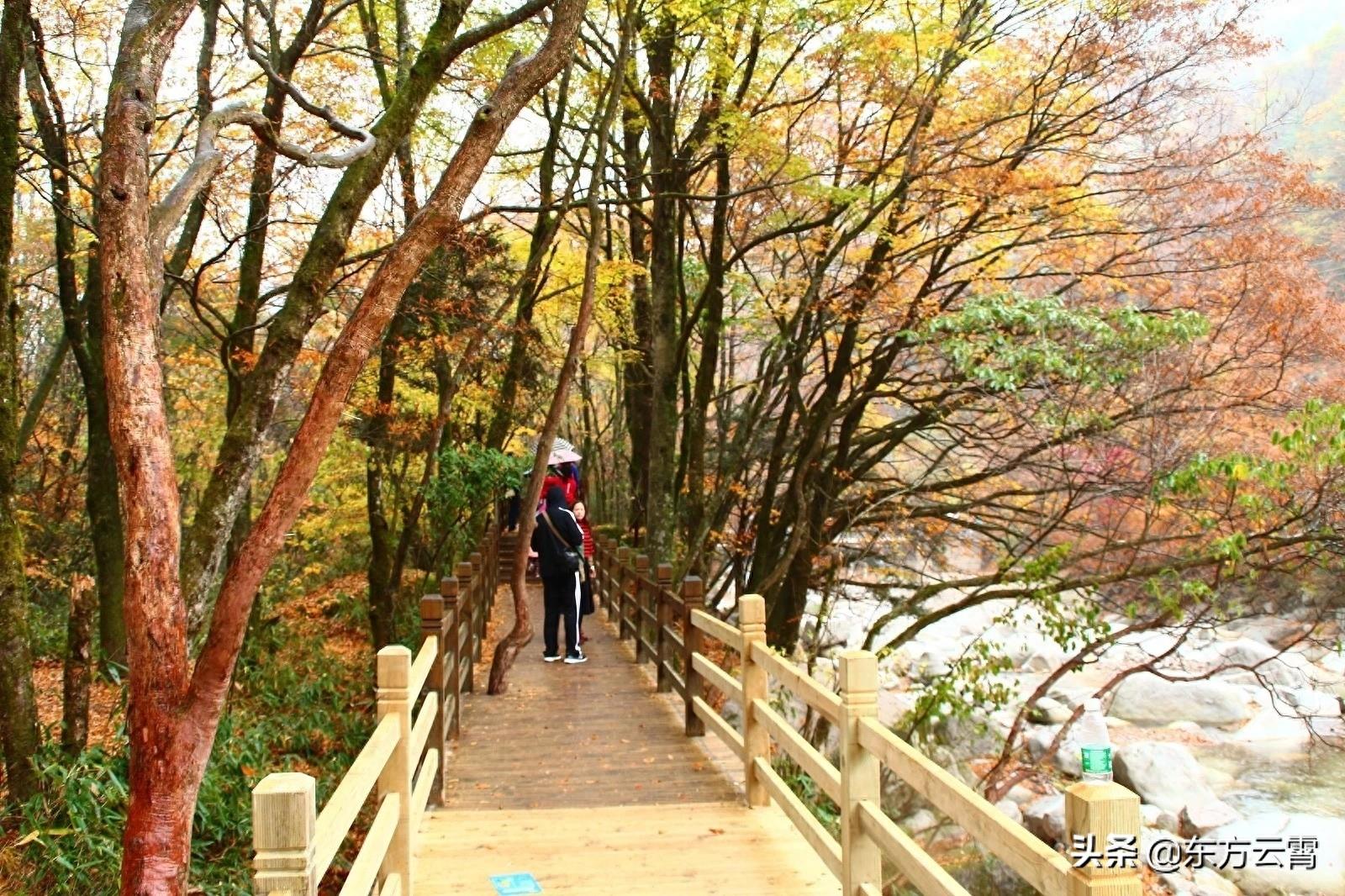 四川巴中南江光雾山大坝景区彩林五彩缤纷美不胜收摄影者的天堂