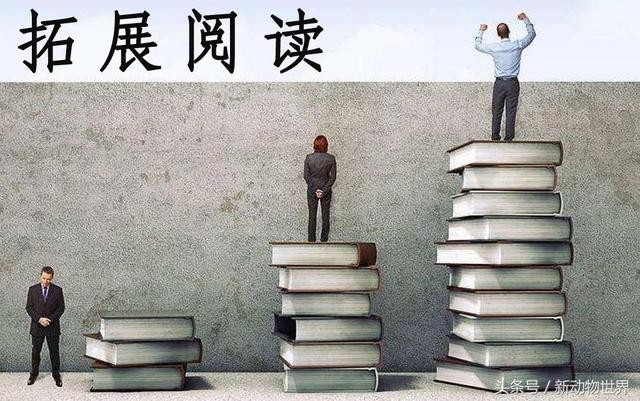 世界最小变色龙（世界上最大的变色龙）(5)