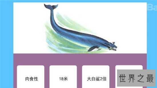 古蜥鲸进化非常复杂，从化石看出身长有20多米