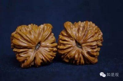 ​文玩核桃系列之四座楼狮子头