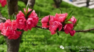 ​Work out 有那些基本意思？