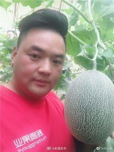​“水果哥”吃播卖瓜上央视，日销哈密瓜1000公斤
