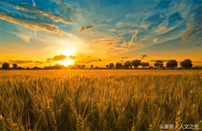 ​人是万物的尺度？这个哲学命题引起争议