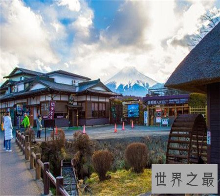 为何长寿村的人们都这么长寿，探索人们长寿的秘密。