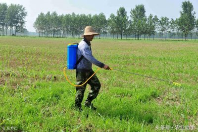 ​真有三年不长草的除草剂吗？