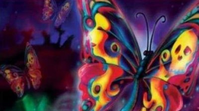 ​世界上最诡异的蝴蝶：鬼美人凤蝶捕捉者会离奇死亡