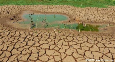 ​汶川地震前一天的前兆，这四件事情早就在告诉人们地震要来了