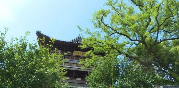 镇江三山从“三国山”到“书法山”