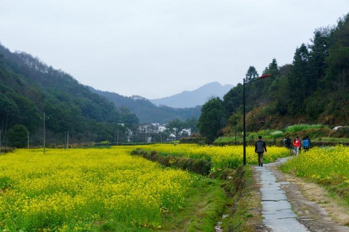 江西婺源晓起村,一个具有千年历史的古村落,小桥流水别具韵味