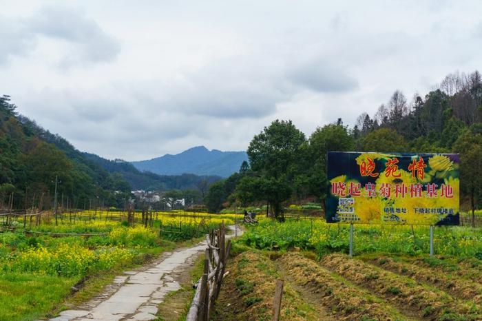 江西婺源晓起村,一个具有千年历史的古村落,小桥流水别具韵味