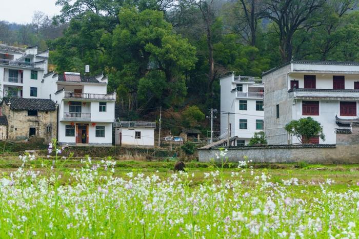 江西婺源晓起村,一个具有千年历史的古村落,小桥流水别具韵味