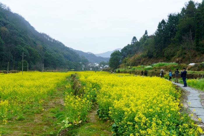 江西婺源晓起村,一个具有千年历史的古村落,小桥流水别具韵味