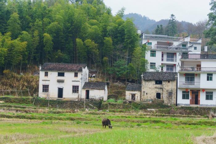 江西婺源晓起村,一个具有千年历史的古村落,小桥流水别具韵味