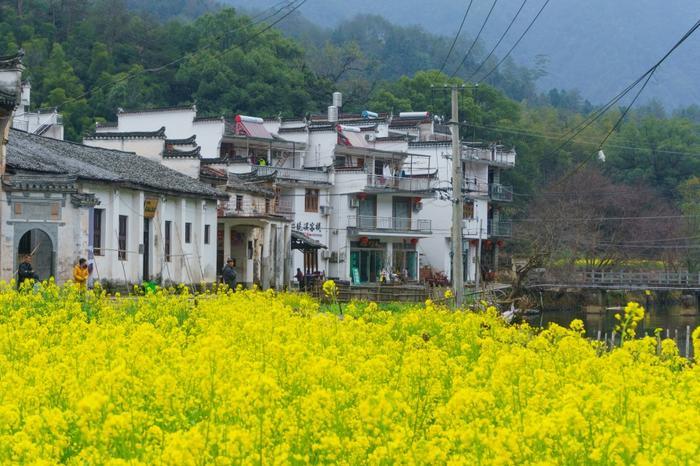 江西婺源晓起村,一个具有千年历史的古村落,小桥流水别具韵味