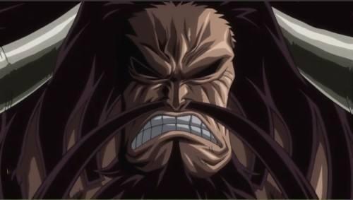 四皇百兽凯多, 到底有没有恶魔果实? 最强肉体拥有者