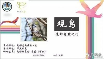 ​会飞的都是鸟吗？NO！NO！NO！