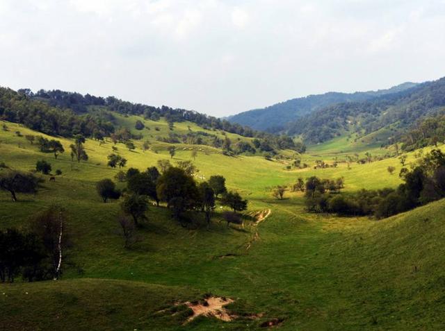 宝鸡市区内旅游景点大全推荐(盘点陕西宝鸡六大旅游景点)(7)