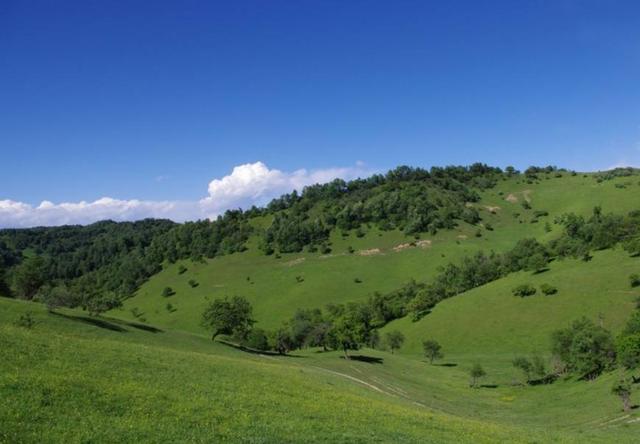 宝鸡市区内旅游景点大全推荐(盘点陕西宝鸡六大旅游景点)(6)