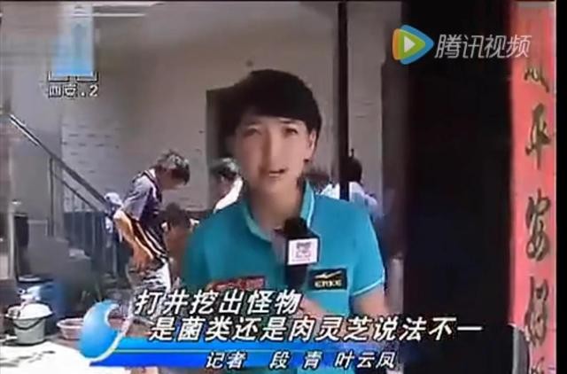 女记者报道太岁事件(肉灵芝节目播出后变男性用品)
