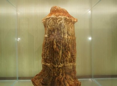 ​女记者报道太岁事件（肉灵芝节目播出后变男性用品）