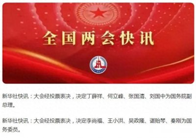 ​国务院副总理和国务委员，有啥区别？谁的级别高一些？