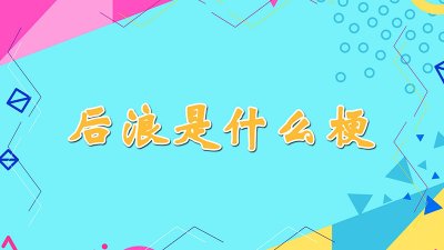 ​后浪是什么梗