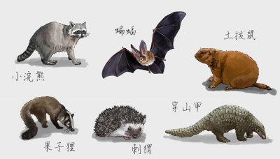 ​穿山甲是几级保护动物?