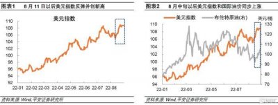 ​强势美元，强自何处?