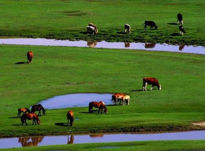 ​张家口有多少人口(张家口各区县人口排名)