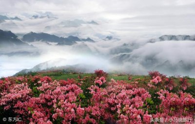 ​五月份去哪旅游最适合（五月必去旅游地）