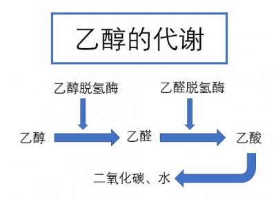 ​“喝酒脸白”表示不上头、酒量好？如果你信了，那就危险了……